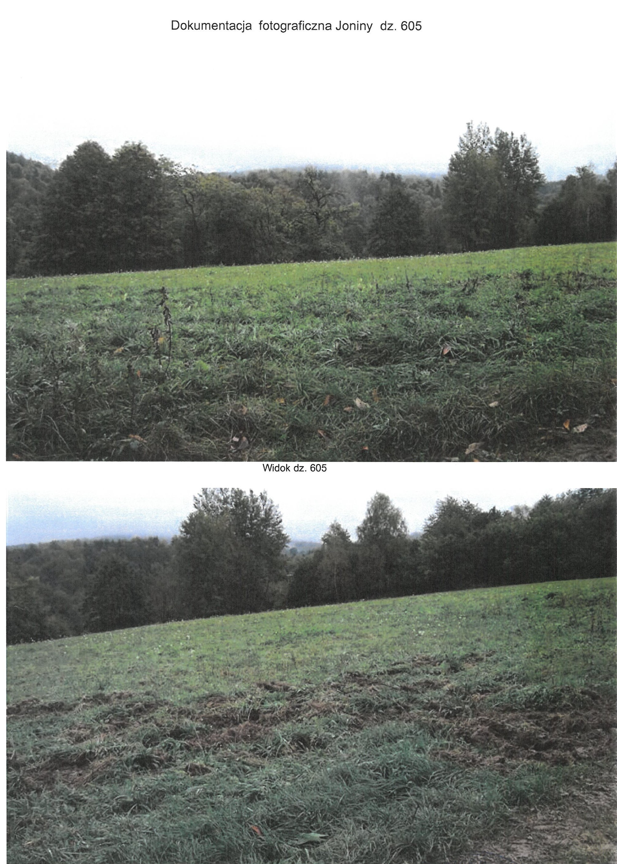 Działki na sprzedaż w Gminie Ryglice