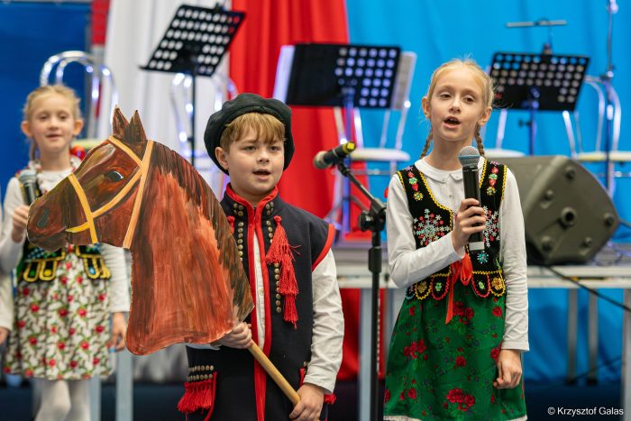 Miniaturka artykułu Akademia Patriotyczna w Bistuszowej