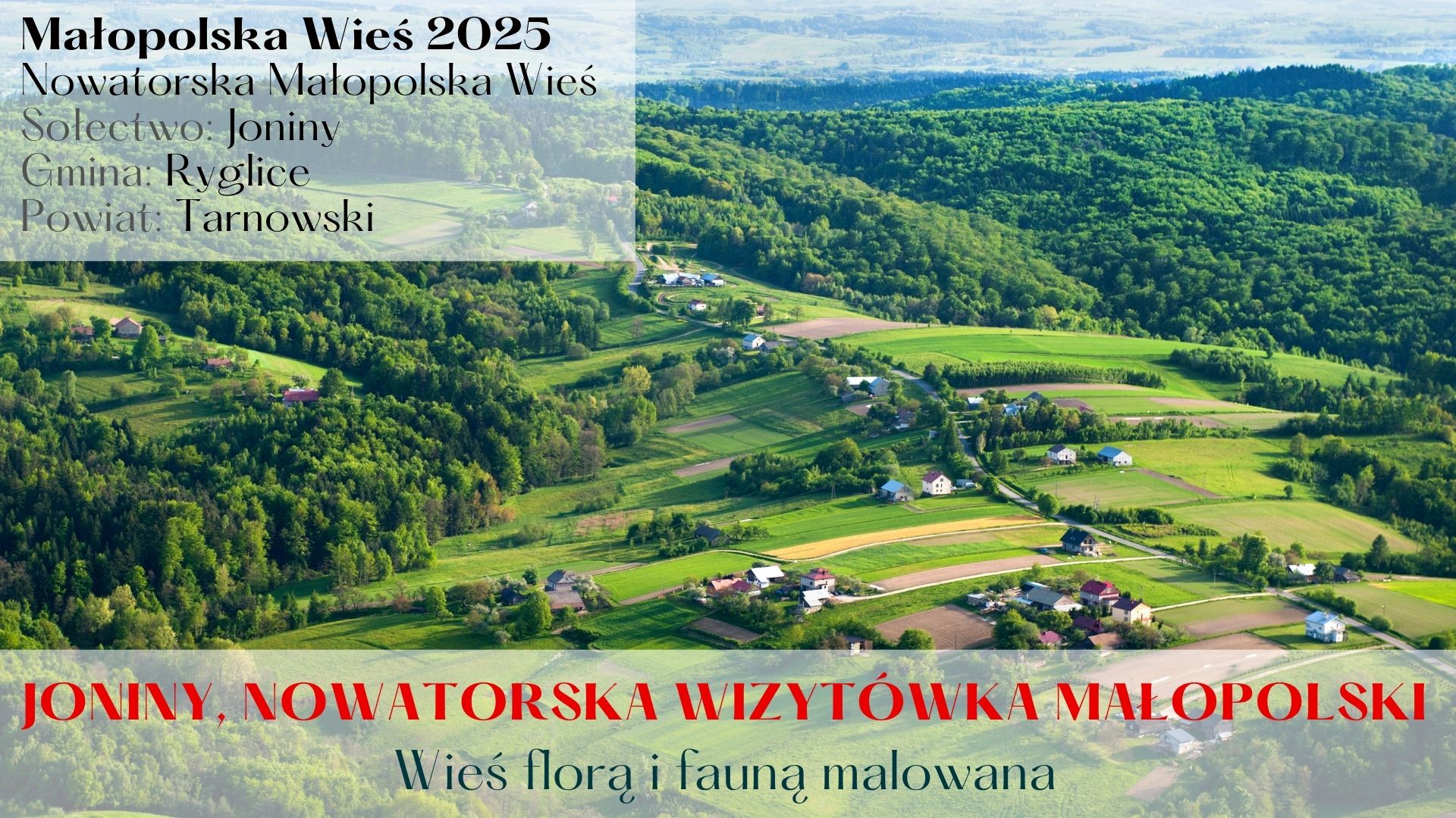🎉 60 000 zł dla Jonin – ogromny sukces! 🎉