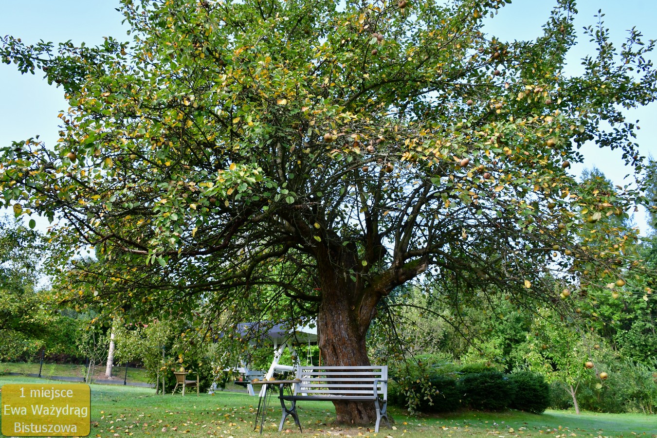 Jesienny Urok Ogrodów – Rozstrzygnięcie XVI Edycji Konkursu „Najpiękniejszy Ogród w Gminie Ryglice”