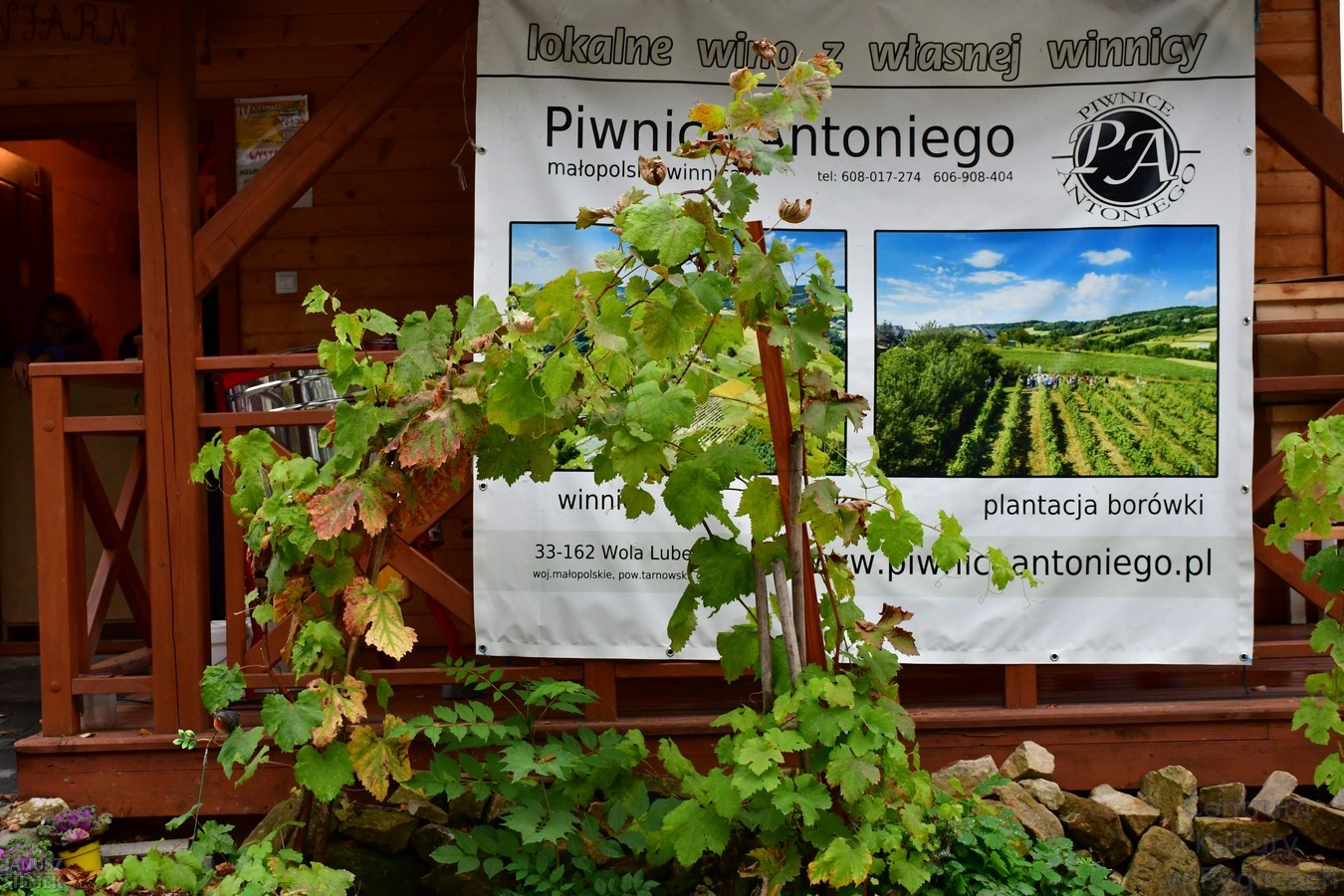 🐝 Miodobranie zakończone! 🍯