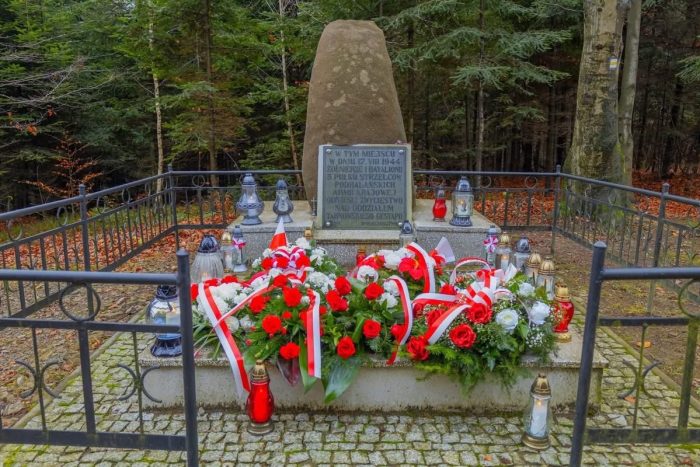 Miniaturka artykułu „Niepodległa do Hymnu”