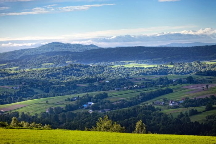 Miniaturka artykułu Gmina Ryglice realizuje Projekt pn. Rozwój niebiesko-zielonej infrastruktury w Ryglicach.