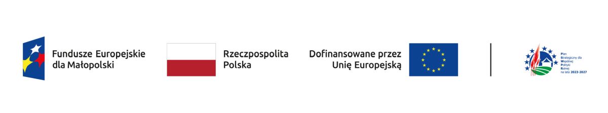 Spotkania konsultacyjne nt. przygotowania wniosków, zasad oceniania i wyboru operacji przez LGD w ramach EFS+