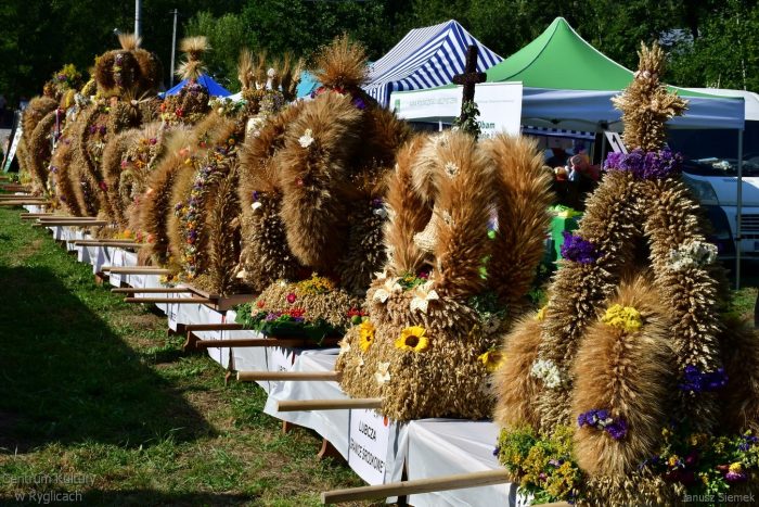 Miniaturka artykułu 🌾 DOŻYNKI GMINY RYGLICE 2026 – ŚWIĘTO PLONÓW I LOKALNEGO POTENCJAŁU 🌾